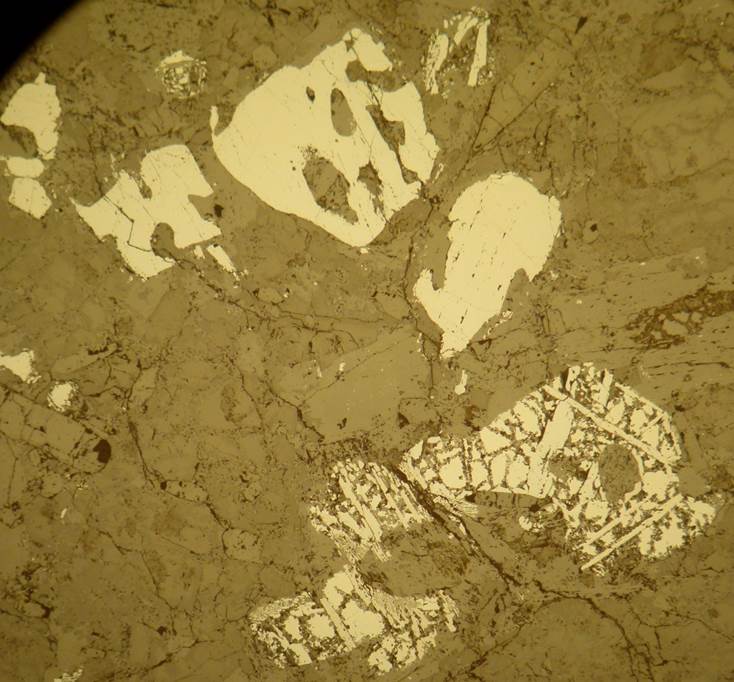 Introduction MicroscopyManchester